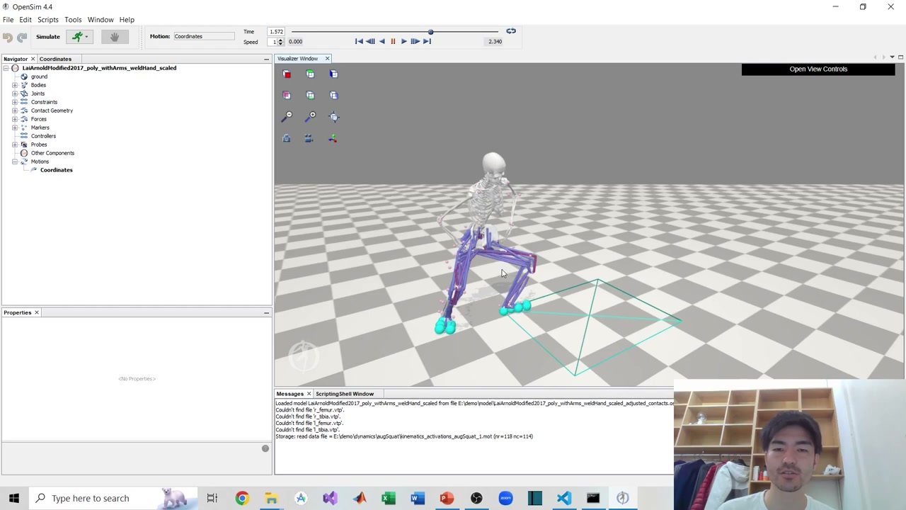 OpenSim musculoskeletal model performing the squat with muscle activation coloring
