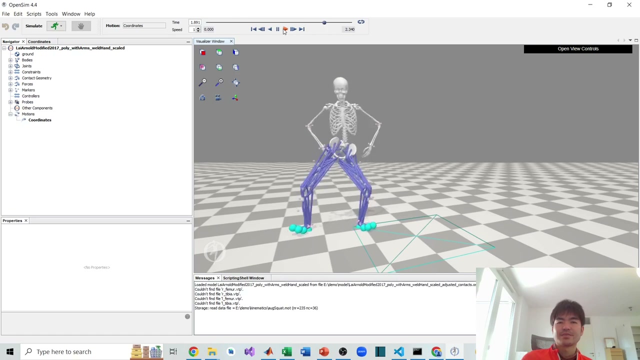 OpenSim GUI showing the scaled musculoskeletal model performing the reconstructed squat