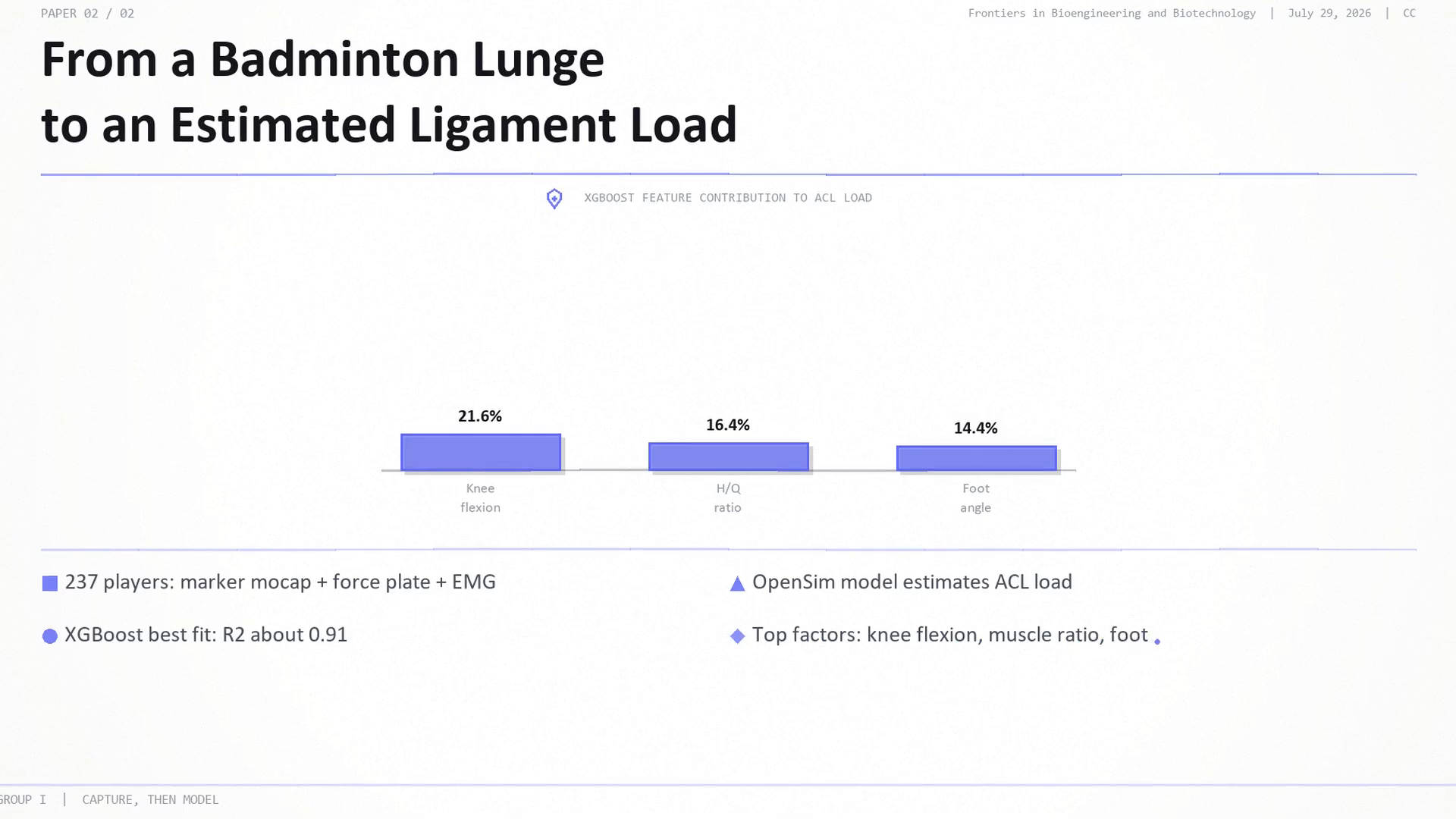 From a badminton lunge to an estimated ligament load: 237 players with marker mocap, force plate and EMG; an OpenSim model estimates ACL load and XGBoost fits it best at R² about 0.91, with knee flexion (21.6%), H/Q ratio (16.4%) and foot angle (14.4%) the top contributing factors.